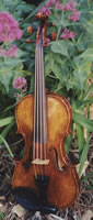 Osiris Violin