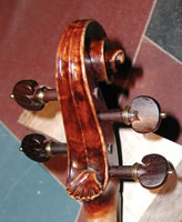 Siren Violin