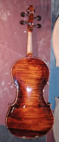 Siren Violin