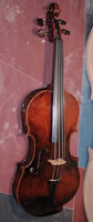 Siren Violin