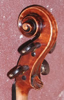 Siren Violin