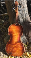 Traveler Violin