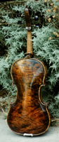 Yucca Violin