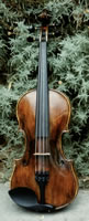 Yucca Violin