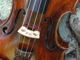 Zeus Violin