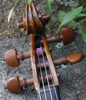 Zeus Violin