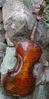 Zeus Violin